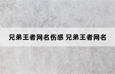 兄弟王者网名伤感 兄弟王者网名